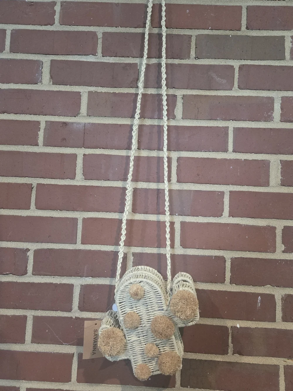 Savanna Anthropologie-Inspired Cactus Woven Crossbody Bag Pom Pom Boho Purse